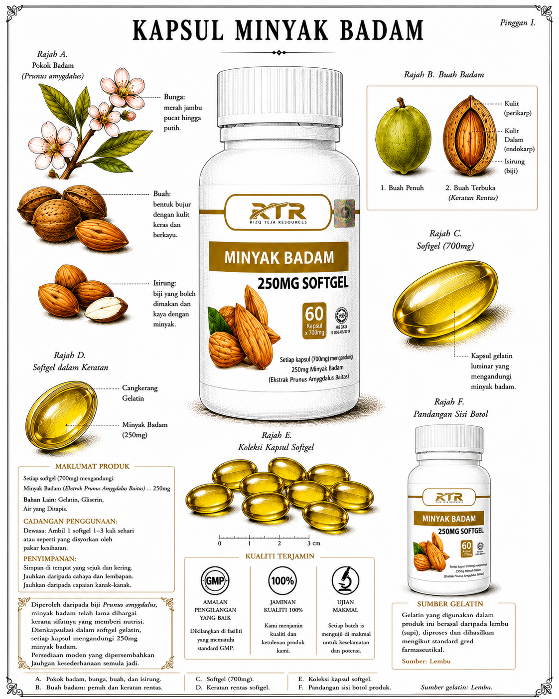 ALMOND Infographic